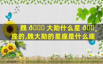 魏 🍀 大勋什么星 🌸 座的,魏大勋的星座是什么座